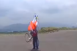 Phấn khích trước những con diều sáng tạo nhất thế giới