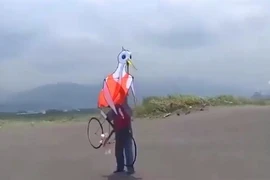 Phấn khích trước những con diều sáng tạo nhất thế giới