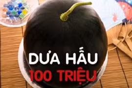 Dưa hấu 100 triệu ngon đến cỡ nào?