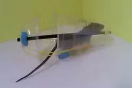 Cách làm bẫy chuột đơn giản mà hiệu quả bất ngờ