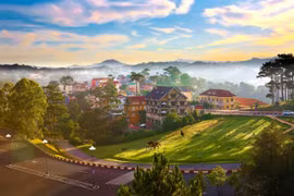 Xem video này, bạn muốn đến Đà Lạt ngay lập tức