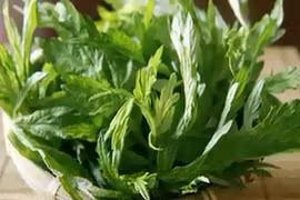 Những bài thuốc quý từ lá ngải cứu bạn nên biết