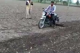 Độc đáo cách nông dân Ấn Độ làm đất để trồng trọt