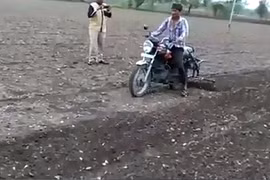 Độc đáo cách nông dân Ấn Độ làm đất để trồng trọt