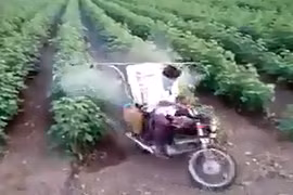 Đây là cách nông dân Ấn Độ phun thuốc cho cây