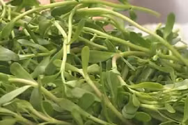 Những công dụng chữa bệnh bất ngờ của rau đắng