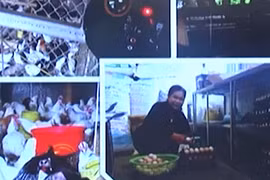 Cho gà nghe nhạc kích đẻ trứng, thu nhập chục triệu một tháng