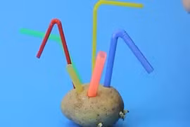 7 mẹo hay cùng ống hút