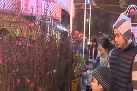 Tiết lộ thú vị về chợ hoa Xuân Hàng Lược