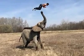 Những màn biểu diễn tuyệt đỉnh gây sửng sốt nhất