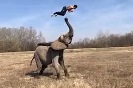 Những màn biểu diễn tuyệt đỉnh gây sửng sốt nhất