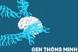 Video: Con người thông minh nhờ những loại gen này