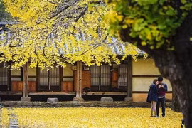 Bí quyết du lịch Hàn Quốc mùa thu, chìm đắm trong thiên đường lãng mạn