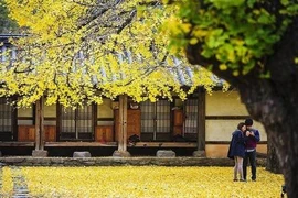 Bí quyết du lịch Hàn Quốc mùa thu, chìm đắm trong thiên đường lãng mạn