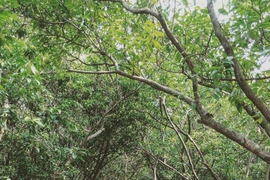 Rỉ tai nhau giới trẻ check in đầm nước lợ lớn nhất Đông Nam Á