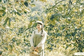 Theo chân giới trẻ "sống ảo" mệt nghỉ ở vườn hồng Đà Lạt