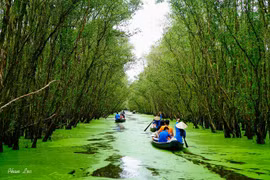 Những trải nghiệm không thể bỏ lỡ khi ghé miền Tây vào mùa nước nổi