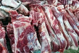 Dịch bệnh nguy hiểm, dính vào chết chắc 100%: Báo động 63 tỉnh thành