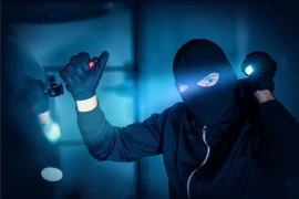 Dùng súng cướp tên miền, bị kết án 20 năm tù