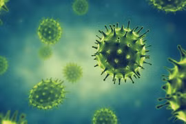 Một học sinh lớp 7 ở Quảng Ninh tử vong nghi do cúm A