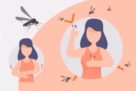 [Infographic] Những lưu ý quan trọng phòng, chữa bệnh sốt xuất huyết