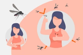 [Infographic] Những lưu ý quan trọng phòng, chữa bệnh sốt xuất huyết