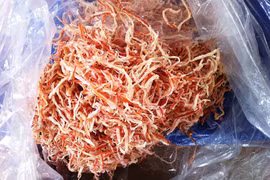 Phát hiện 1,5 tấn mực khô đàn hồi như dây thun