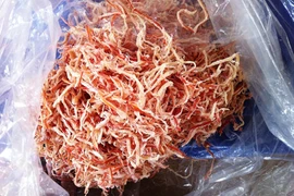 Phát hiện 1,5 tấn mực khô đàn hồi như dây thun