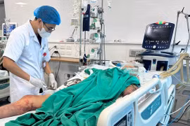 Nam thanh niên 27 tuổi suy đa tạng sau khi ăn tiết canh