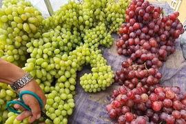 4 loại quả Trung Quốc “đội lốt” hàng Việt, người tiêu dùng lưu ý