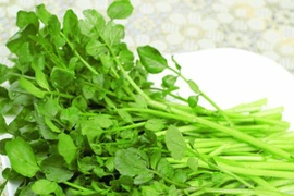 Loại rau giàu magie tốt cho tim mạch, tăng cường hệ miễn dịch