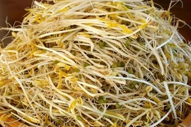 Triệt phá đường dây sản xuất 3.500 tấn giá đỗ ngâm hóa chất