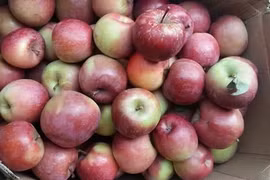 Loại quả ăn mỗi ngày giàu chất dinh dưỡng, ngừa 8 loại ung thư