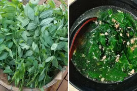 Loại rau quen thuộc giúp tăng cường sức khỏe sinh lý nam giới