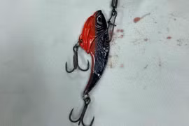 Người đàn ông bị lưỡi câu móc vào nhãn cầu khi đi câu cá