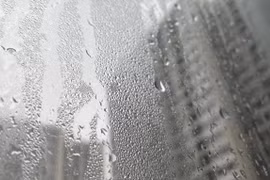 Chuyên gia chỉ cách đối phó với thời tiết nồm ẩm