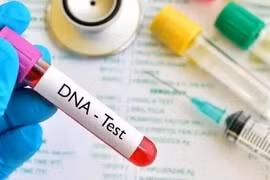 Chồng lén lấy tóc của con đi xét nghiệm ADN làm tôi ngã quỵ