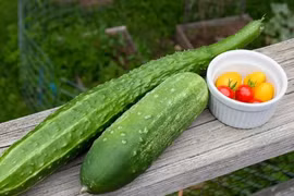 "Siêu trái cây" giúp dưỡng ẩm da trong mùa đông