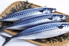 Ăn cá nhiều có tốt không? 