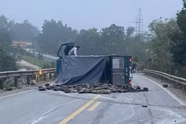 Khởi tố tài xế xe tải gây tai nạn khiến 2 mẹ con tử vong
