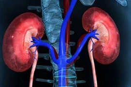 Tổn thương thận cấp vì uống thuốc của thầy lang "vườn”