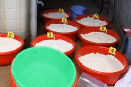 K𝐞𝐭𝐚𝐦𝐢𝐧𝐞 ảnh hưởng sức khỏe ra sao?