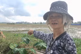 Hàng xóm tiết lộ Hoa hậu Đỗ Thị Hà cấy gặt rất giỏi