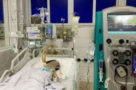 Bị mò đốt, người phụ nữ 69 tuổi nguy kịch tính mạng 