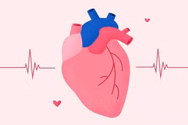 Nhịp tim chậm, xuất hiện đột ngột có nguy hiểm?