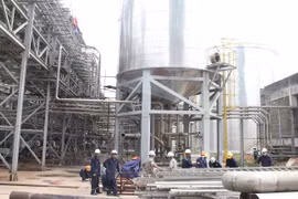 Quảng Ngãi gỡ vướng mắc cho dự án nhà máy bột giấy 10.000 tỷ 