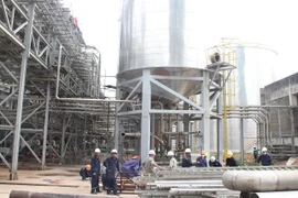 Quảng Ngãi gỡ vướng mắc cho dự án nhà máy bột giấy 10.000 tỷ 