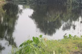 Long An: Hai học sinh chết đuối trong hầm đất công trình