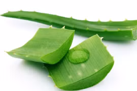 Vì sao nên thêm nha đam vào chế độ chăm sóc da hàng ngày?