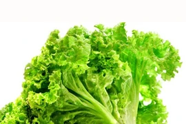 6 loại rau củ là “tổ ký sinh trùng”